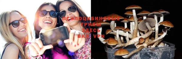 spice Заволжск