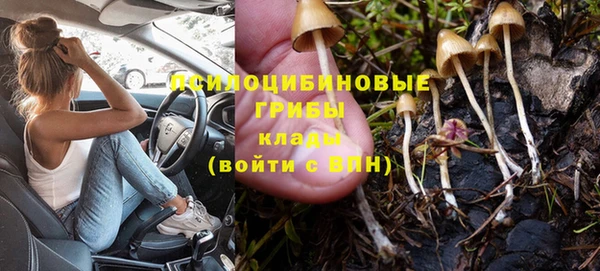 соль курить ск Елизово