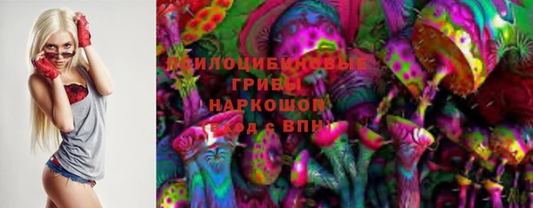 шишки Зеленодольск