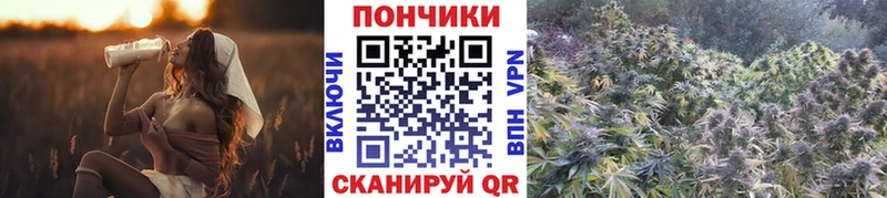 Бошки марихуана VHQ  Купить закладки  Киреевск 
